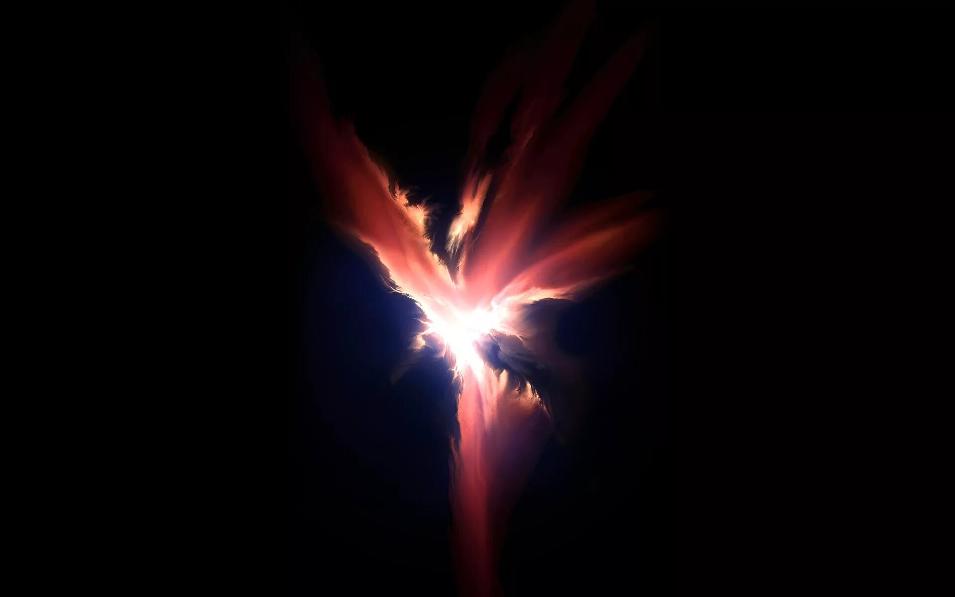Phoenix light. Феникс на аву. S. Феникс возрождение феникс возрождение. Phoenix light.