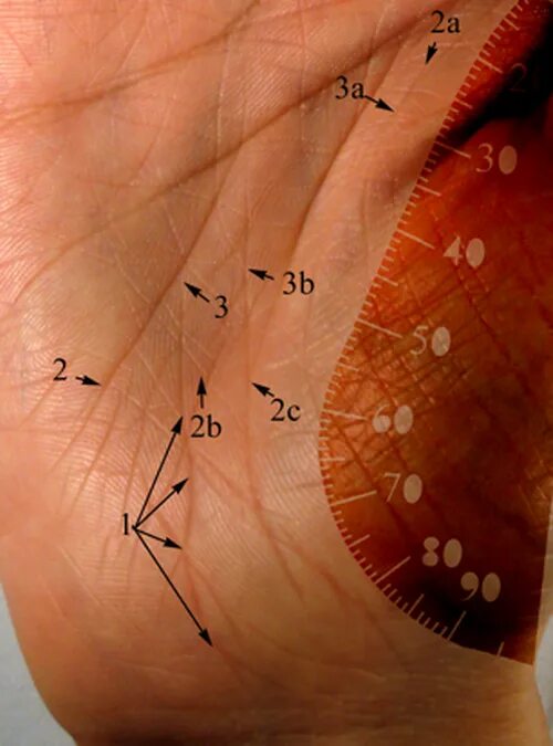 Треугольник на линии судьбы. Хиромантия. Хиромантия треугольник на линии судьбы. Треугольник на линии судьбы. Писательская развилка на линии ума.