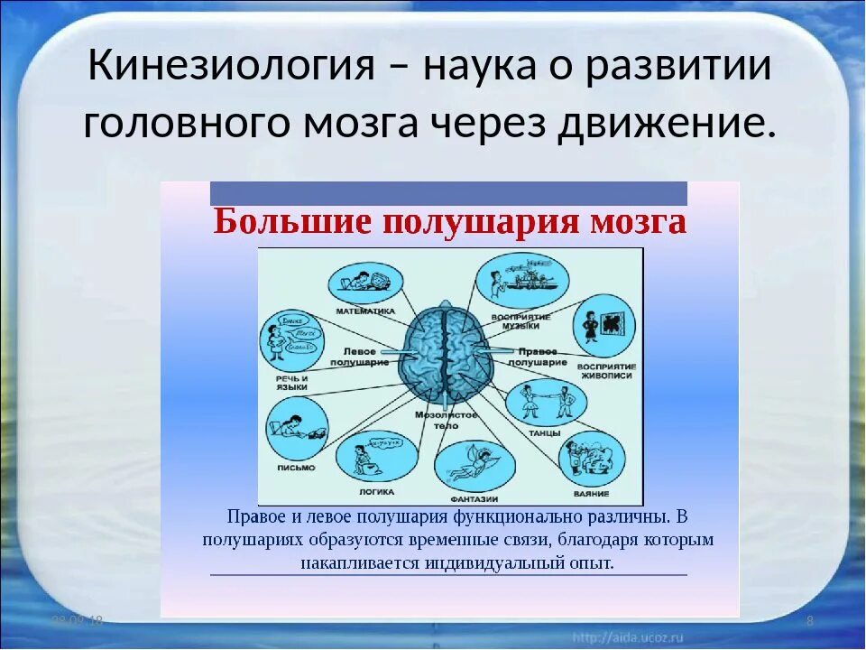 Кинезиология. Кинезиология это наука. Кинезиология наука о движении. Практическая кинезиология