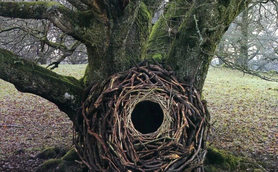 Natural materials. Andy Goldsworthy. Лэнд арт Энди Голдсуорси. Энди Голдзуорти шпиль из 30 кипарисовых стволов. Энди Голсуорси ленд-арт.