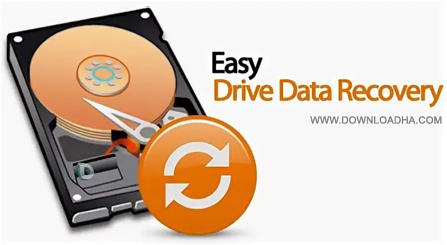 Esv platform компании easydata. Easy data. Easy data. Easy data. Easy data.