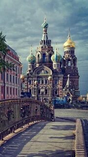 Питер телефон