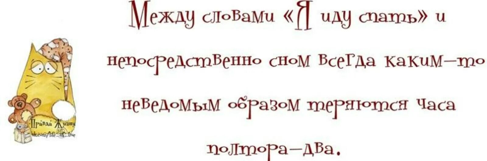 Прикольные фразы перед сном. Спать цитаты. Смешные высказывания про сон. Афоризмы про сон смешные. Муж на полтора часа описание