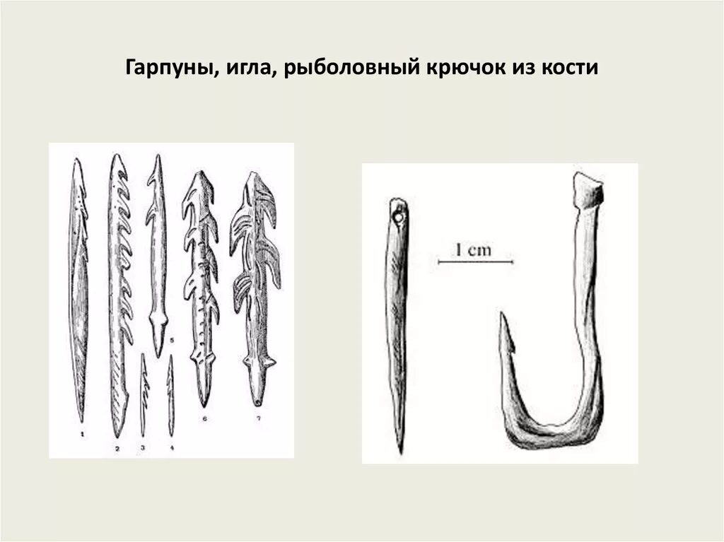 Орудия труда гарпун. Костяной гарпун первобытных людей. гарпун кость неолит. орудия труда первобытного человека гарпун. орудия труда древнего человека гарпун.