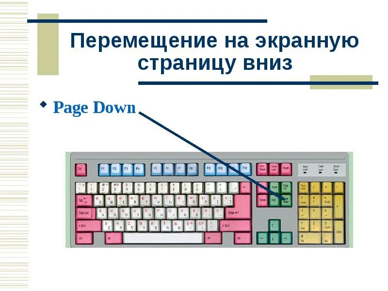Переместить курсор на следующее поле. Специальные клавиши. на экранную страницу вверх. компьютер основной инструмент подготовки текстов 5 класс. клавиши перемещения курсора.