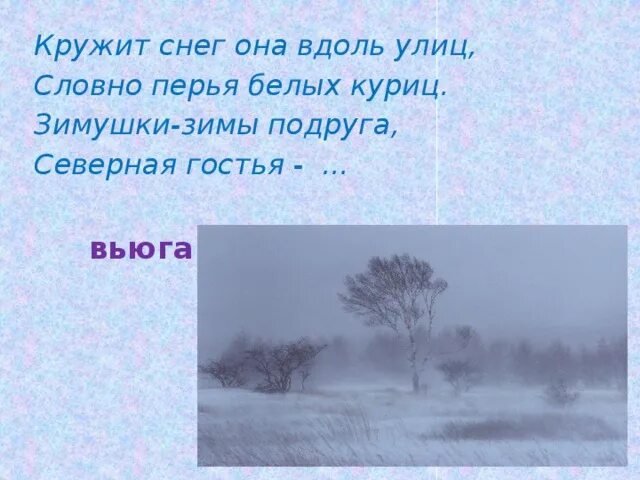 Загадка про вьюгу. Загадки про пургу. Загадка про вьюгу для детей. Загадка про метель. Пришла зима с севера подул основная мысль