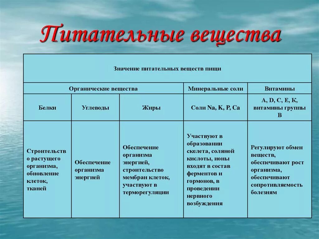 Какие функции белков жиров и углеводов. Основные пищевые вещества перечислить. Белки жиры углеводы витамины функции. Значение основных пищевых веществ. Основные типы питательных веществ.