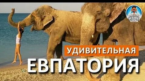 Слоны в крыму