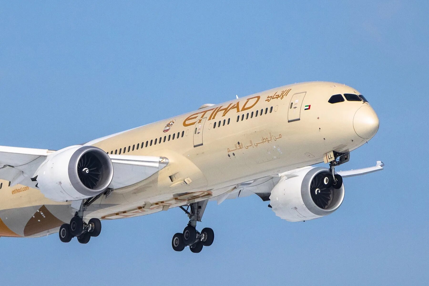 B787 etihad. Самолет авиакомпании этихад. Авиакомпания оаэ etihad airways. Этихад в москве телефон. Etihad airways самолеты.