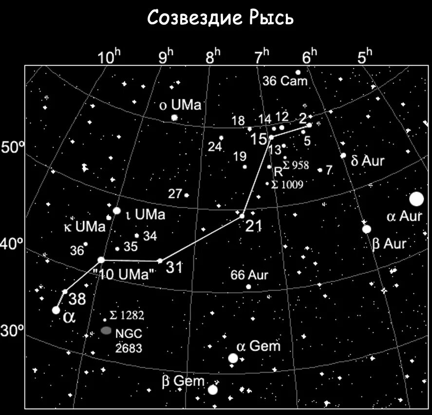 Самая яркая звезда созвездия Рысь. Созвездие Рысь на карте звездного. Созвездие Рысь гевелий. Созвездие Рысь Альфа звезда. Звезда рыси