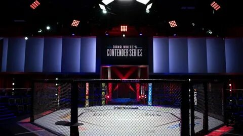 Зал ufc