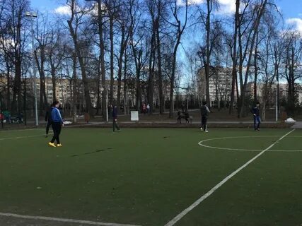 Сосновая казань