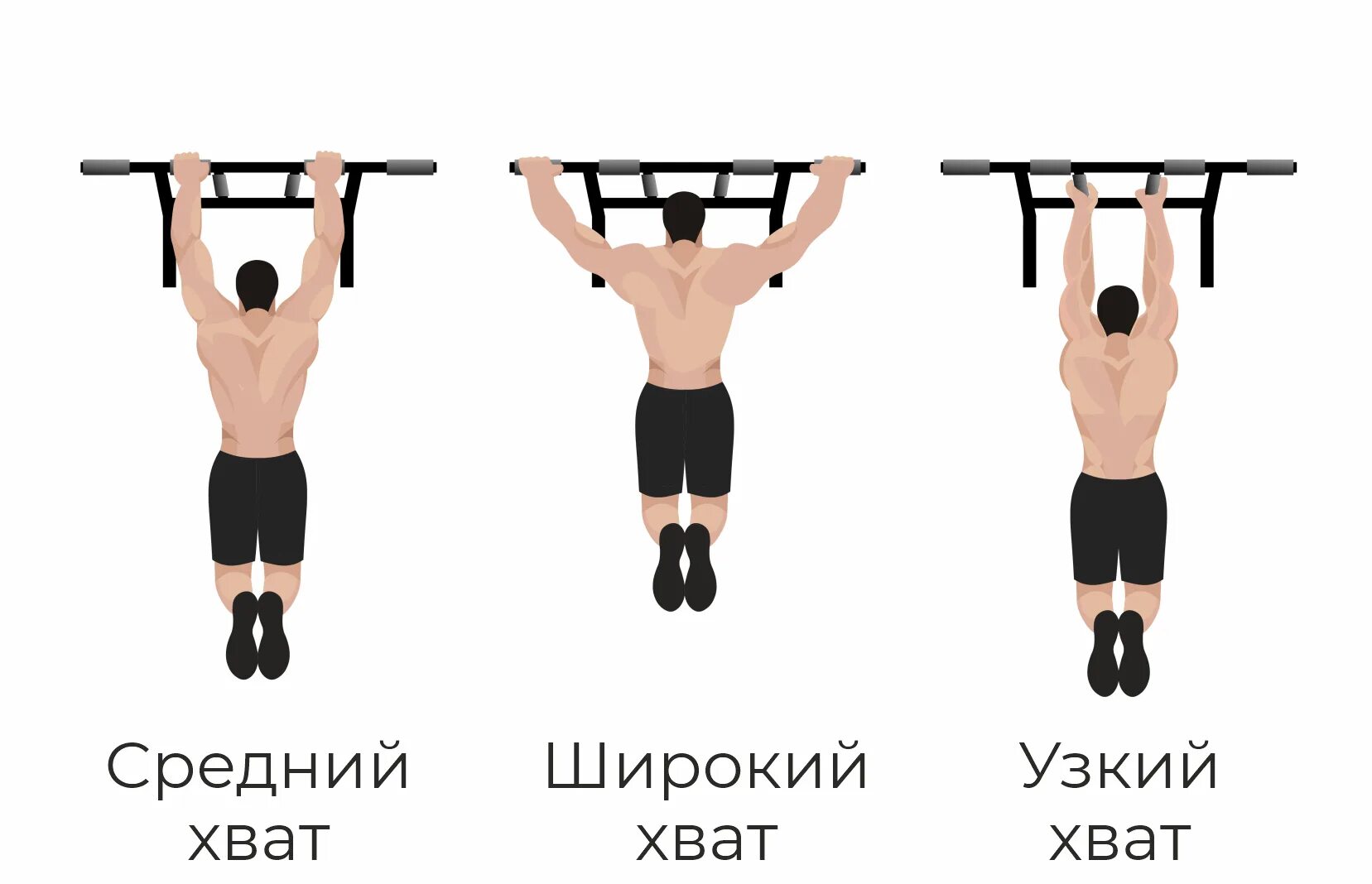 Подтягивания параллельным хватом мышцы. Узкий хват на турнике. Подтягивания узким хватом. Широкий хват на турнике. Подтягивания разными хватами