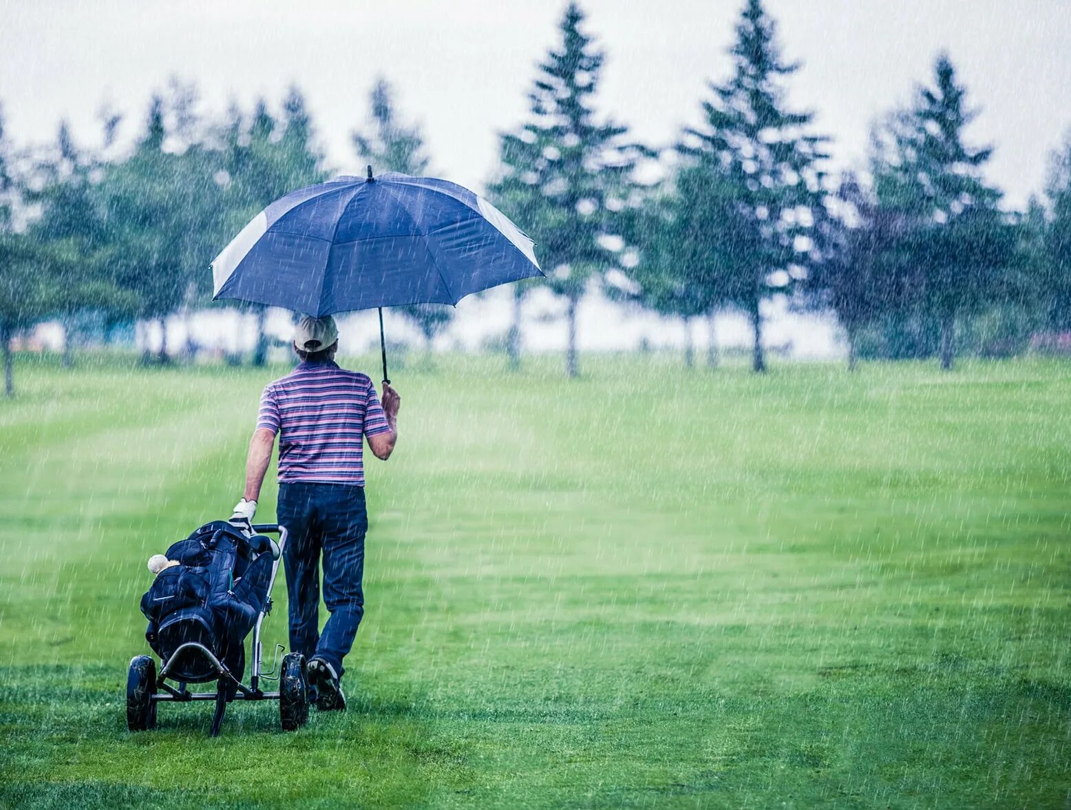 Гольф в пасмурную погоду. Sunny Days with Umbrella with people. They're playing Golf in the Rain funny picture for Kids.