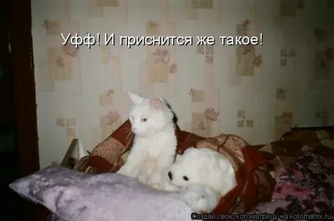 Приснится же такое