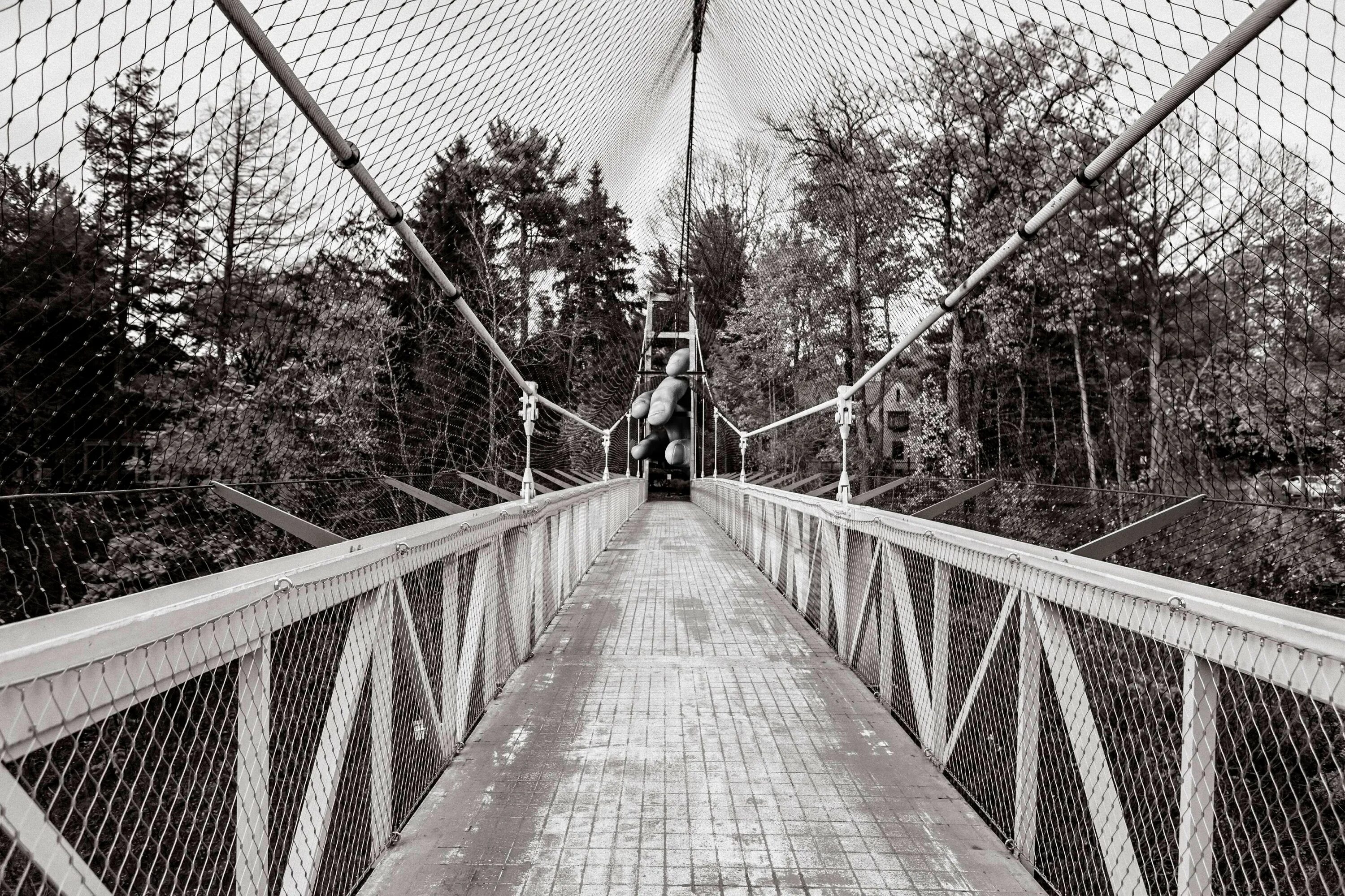 Bridge net