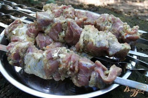 Рецепты шашлыка из свинины на луке