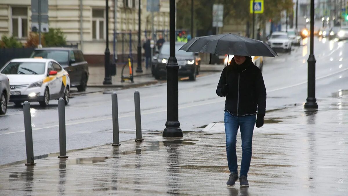 В области придут дожди. Дождливый день. Сильный дождь. Дождь в Москве. Дождик в Москве.