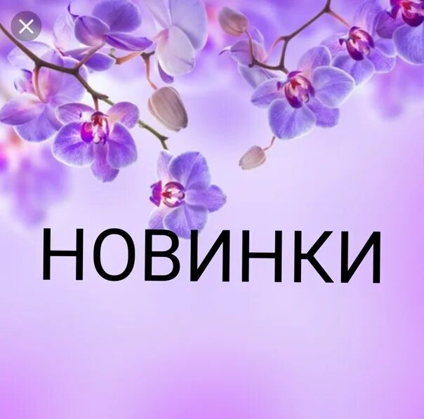 Новинка картинка. Ожидаем поступление нового товара. Новинки изображение на сайт. Что есть из новинок. Ожидается поступление нового товара.