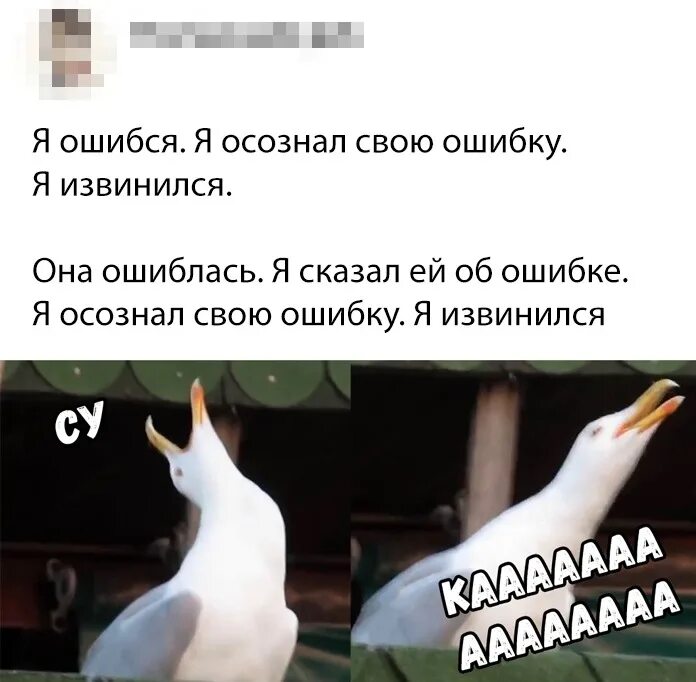 Я ошибка извини