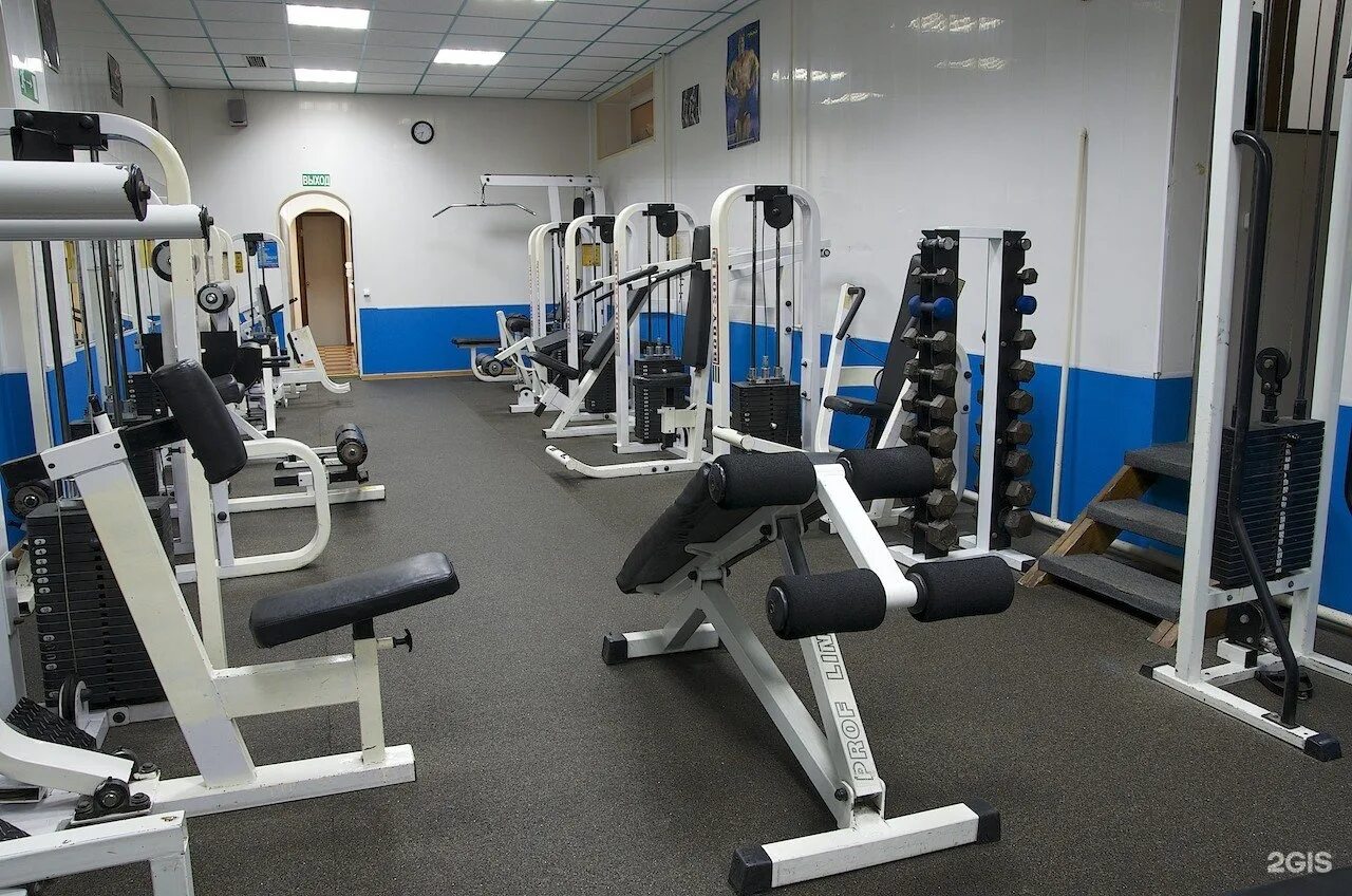 Спортклуб медведь краснодар тургенева. Тренажерный зал медведь миасс. Спортзал медведь благовещенск. Клуб медведь пенза. Спортивный клуб медведь сочи.