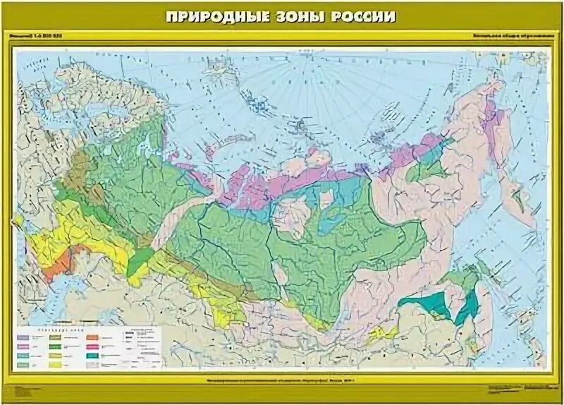 Как выглядит карта природных зон Атлас-принт Природные зоны России, животные растения/ размер 143см х102см/ на ре