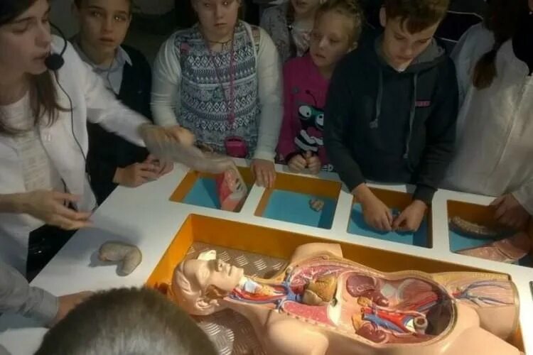 Музей здоровья на дубровке. Музей здоровья ярославль официальный сайт. Музей здоровья спб. Музей здоровья спб. Музей здоровья санкт петербург.