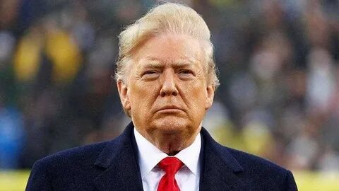 Сколько лет правил трамп