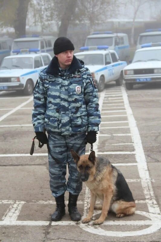 Кинолог в полиции зарплата. Буданцев андрей викторович кинолог. ольчев александр борисович кинолог. барановский алексей викторович кинолог. игорь дерягин кинолог.