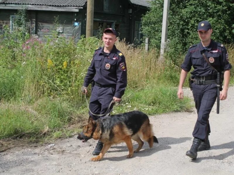 Поиск преступников поисковыми группами ведется путем. Виды поисковых нарядов. Поиск преступников поисковыми группами ведется путем. Поиск преступников поисковыми группами ведется путем. Частные детективные агентства.