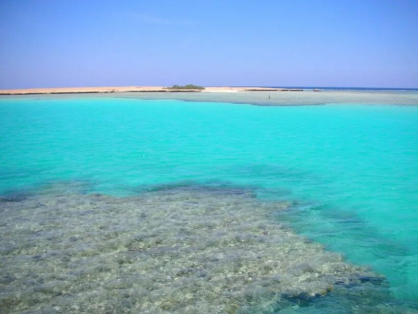 Самое теплое и соленое море африки. Красное море Египет. Аравийское побережье красного моря. Рас Мохаммед соленое озеро. Красное море берег Африки.