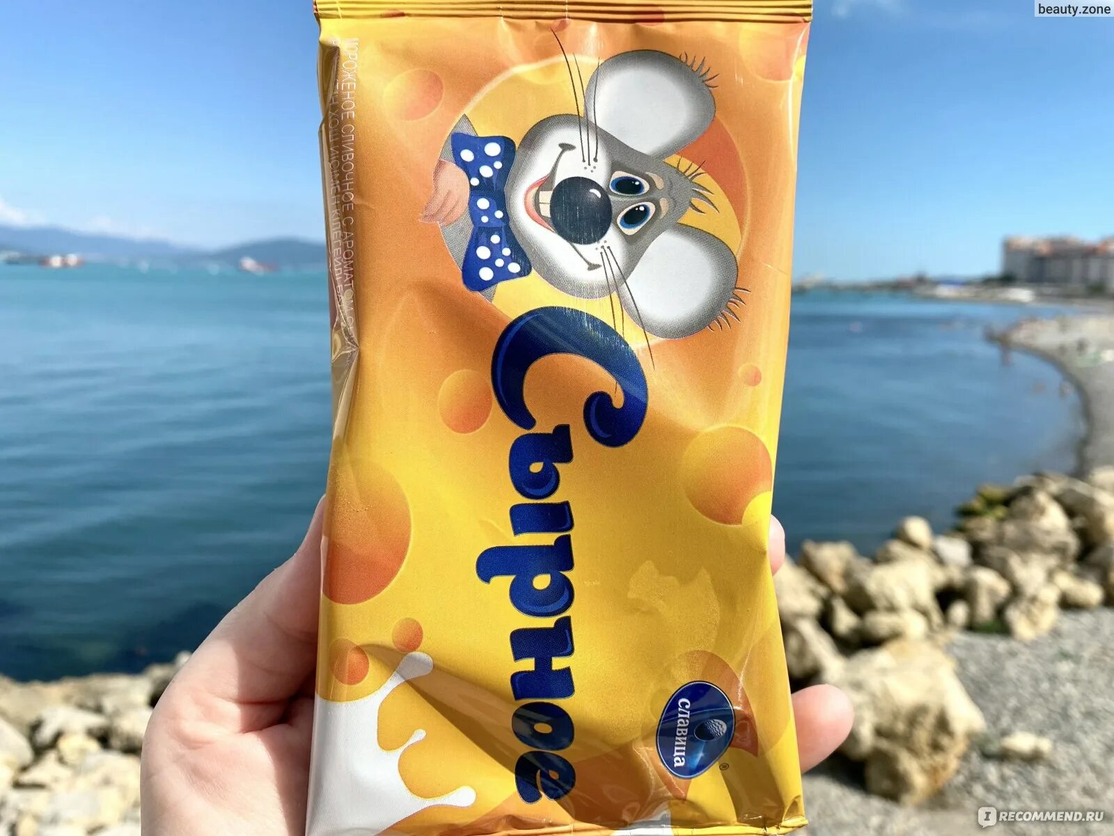 Сырное мороженое. Мороженое со вкусом сыра. сырное мороженое славица. славица мороженое иваново. мороженое со вкусом ежика.