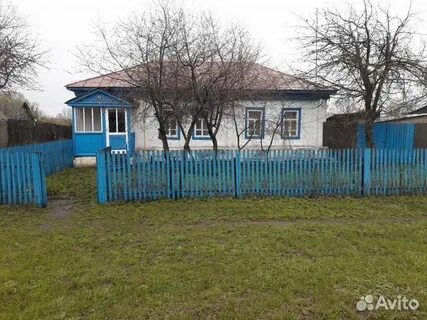 Авито грибановский
