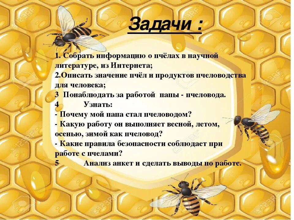 Текст про пчел. Интересные факты о пчелах. Интересное о пчелах для детей. Тема пчел для презентации. Проект на тему пчелы.