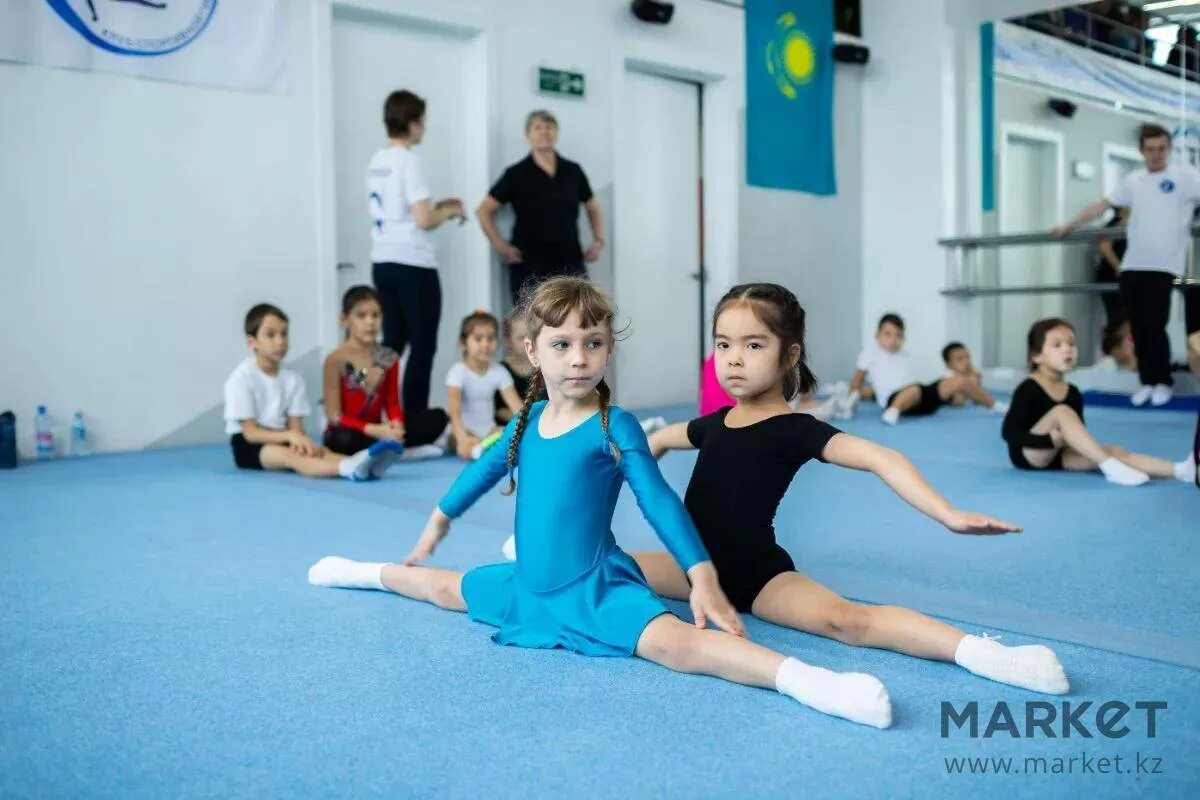 В какую школу можно отдать ребенка. Спортивные кружки для девочек. Кружки и секции для девочек. Секции для детей с 4 лет. Спортивные секции для девочек 12 лет.