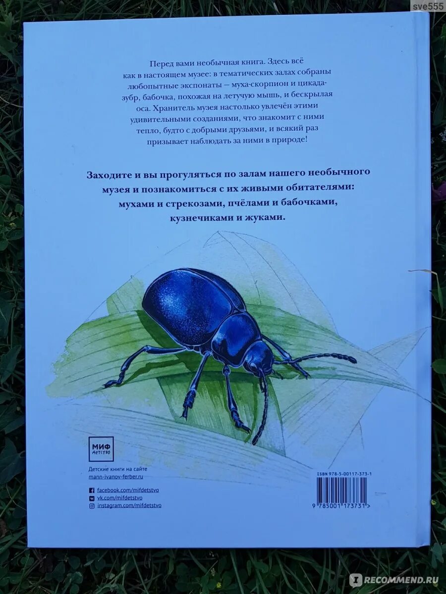 К чему снятся жуки много живые. Сона насекомое. К чему снятся жуки много живые. Blatta orientalis таракан. Что видят жуки что видим мы.