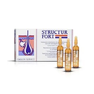 Structur fort