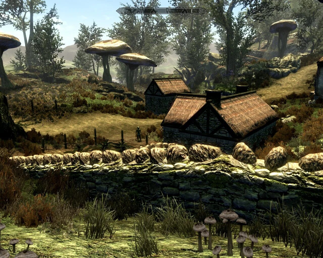 Skywind дата выхода. Skywind обливион. скайвинд игра. the elder scrolls 5 skywind. skywind dwarf.