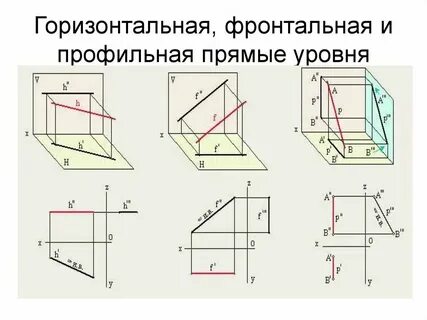 Фронтальная сторона это какая