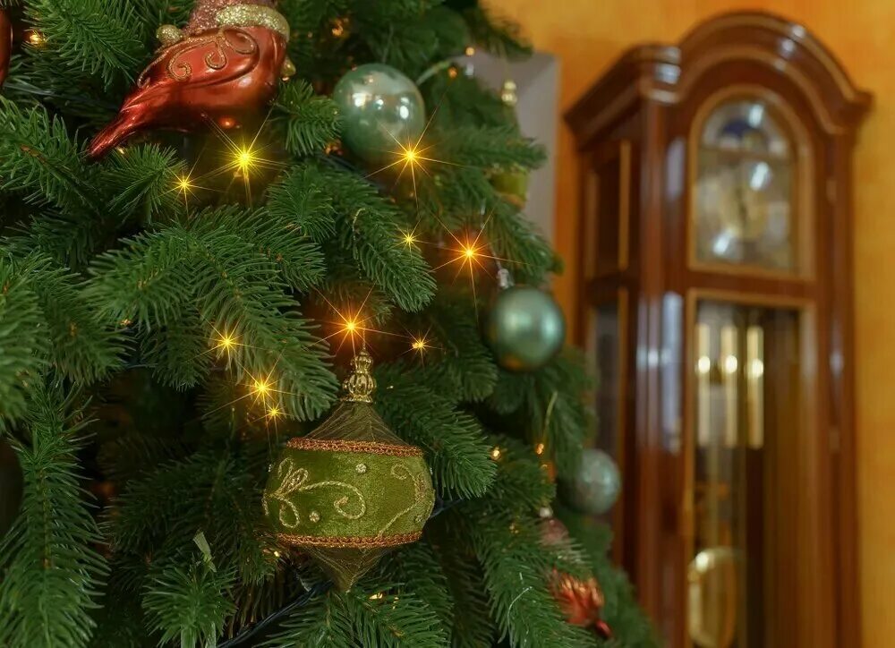 Ель афродита. Царь елка афродита 240. Царь елка афродита 150. Царь елка афродита 180. Царь елка афродита.