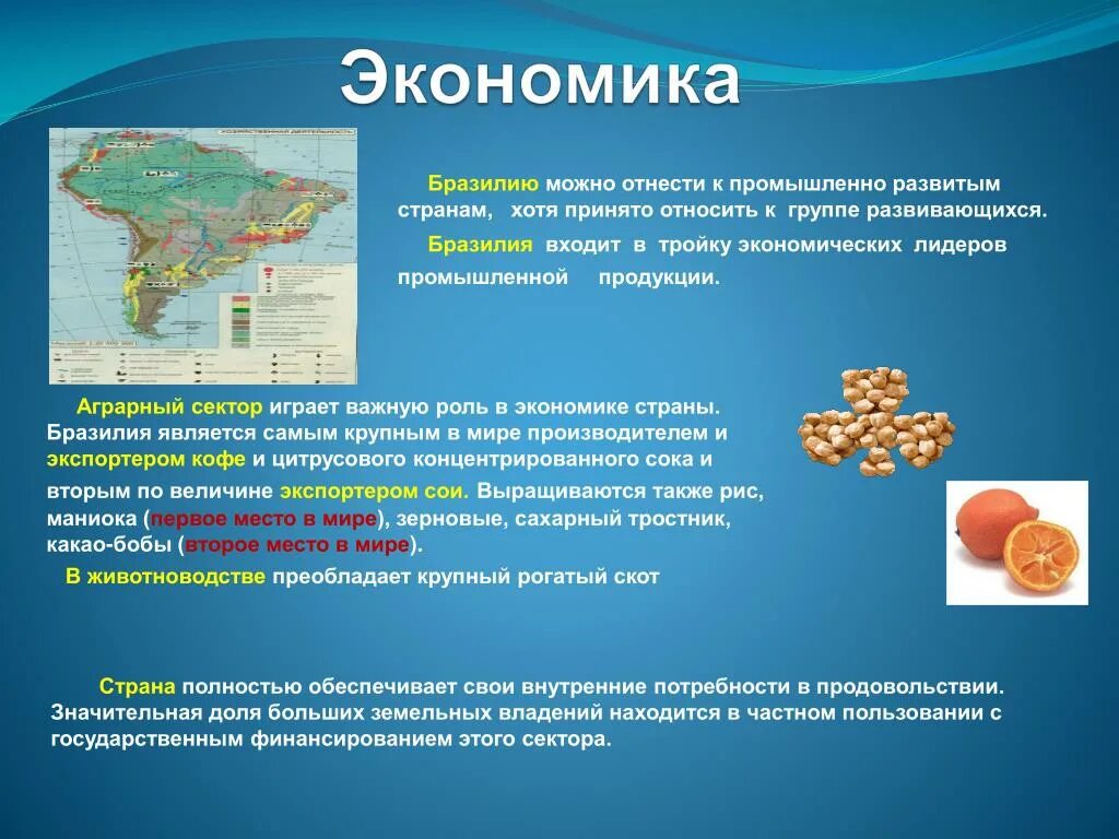 Бразилия на мировом рынке. Общая характеристика экономики Бразилии. Экономика Бразилии кратко. Социально экономическое развитие Бразилии. Уровень экономического развития Бразилии.