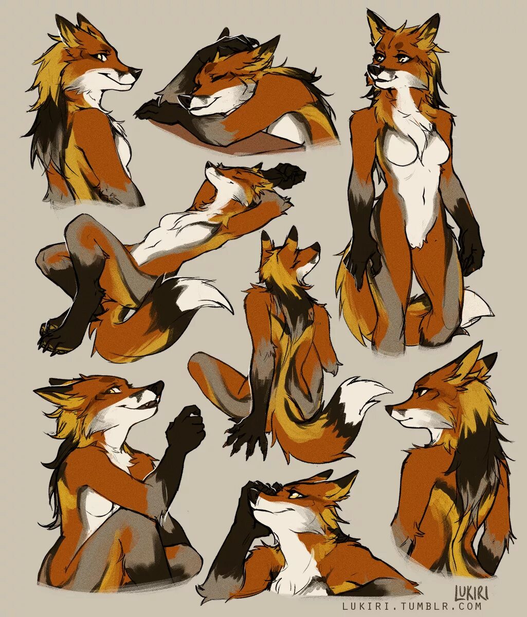 Лиса тутор. Антро лиса. антро лиса референс. furry fox. референсы антро лис.