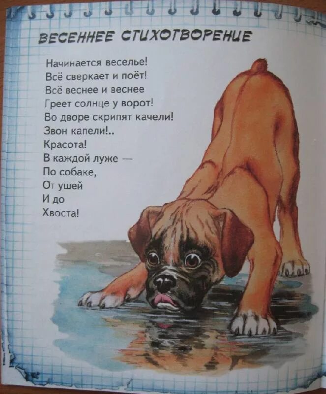 Стих 2 щенка. Стих про собаку для детей. стихи про собак веселые. детские стишки про собаку. стихи про собаку для детей короткие.