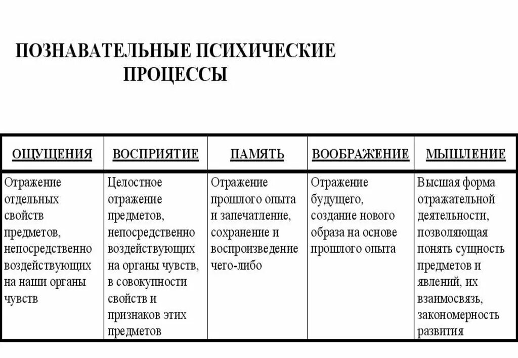 Память относится к психическим