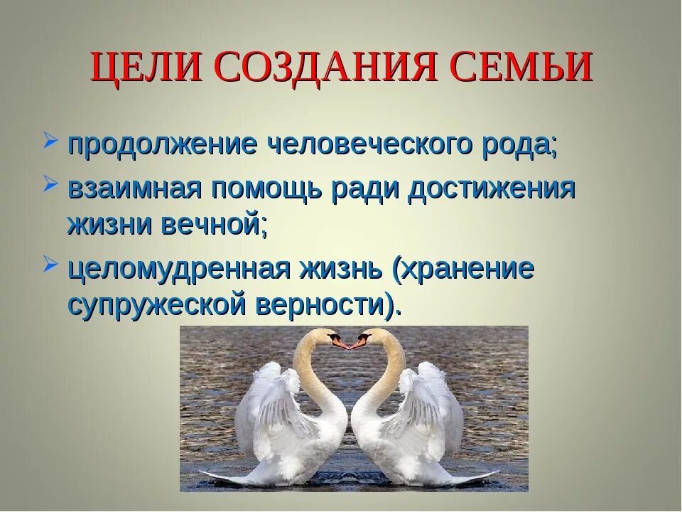 Цель семья и дом. Цель создания семьи. Цели семьи. Общие семейные цели. Главная цель семьи.