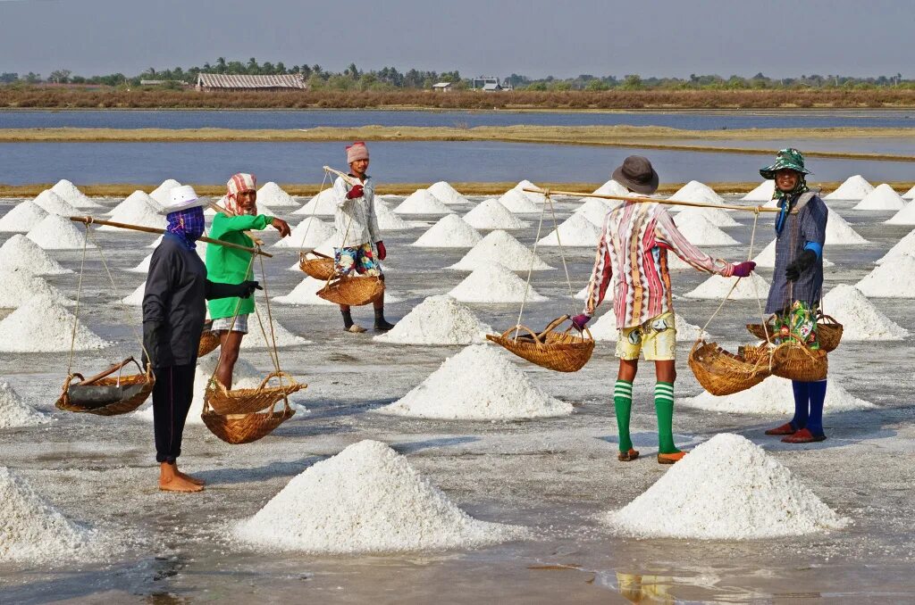 Добыча соли. Добыча морской соли. добыча соли из морской воды. добыча соли в древности.