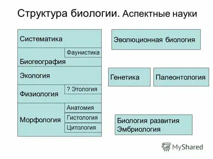 Структурная биология это