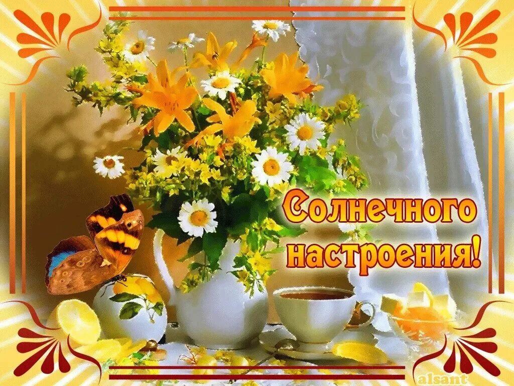 Теплые пожелание доброго дня. Солнечного дня и отличного настроения. солнечного дня и отличного настроени. солнечного утра и хорошего настроения. открытка доброго солнечного дня.