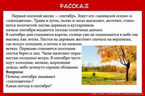 До листика вымокли кусты и деревья