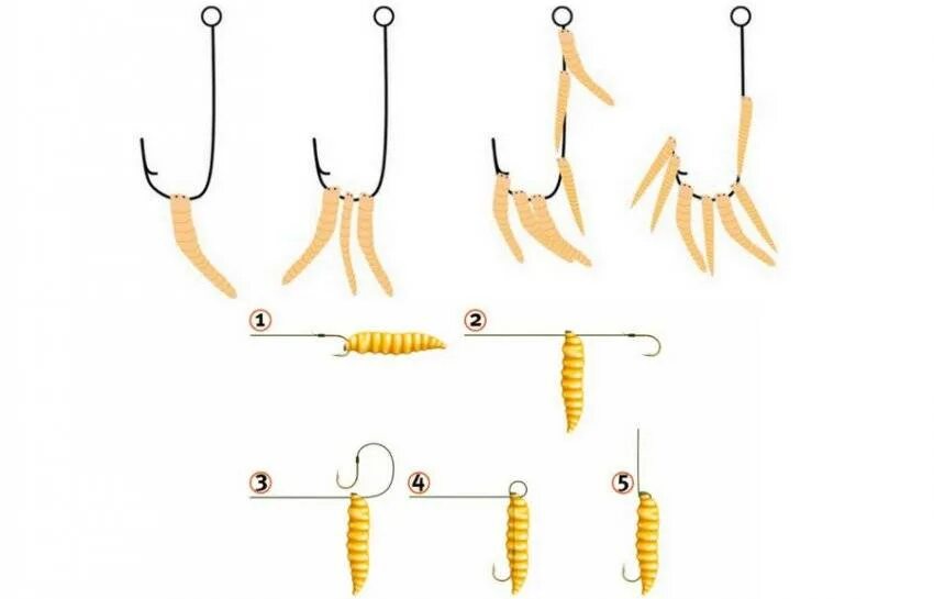 Правильная насадка опарыша на крючок. Правильно насаживать опарыша на крючок. Как правильно насадить опарыша на крючок при ловле на фидер. Как насаживать опарыша на крючок для леща на фидер.